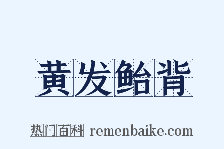 黄发鲐背是什么意思的图片